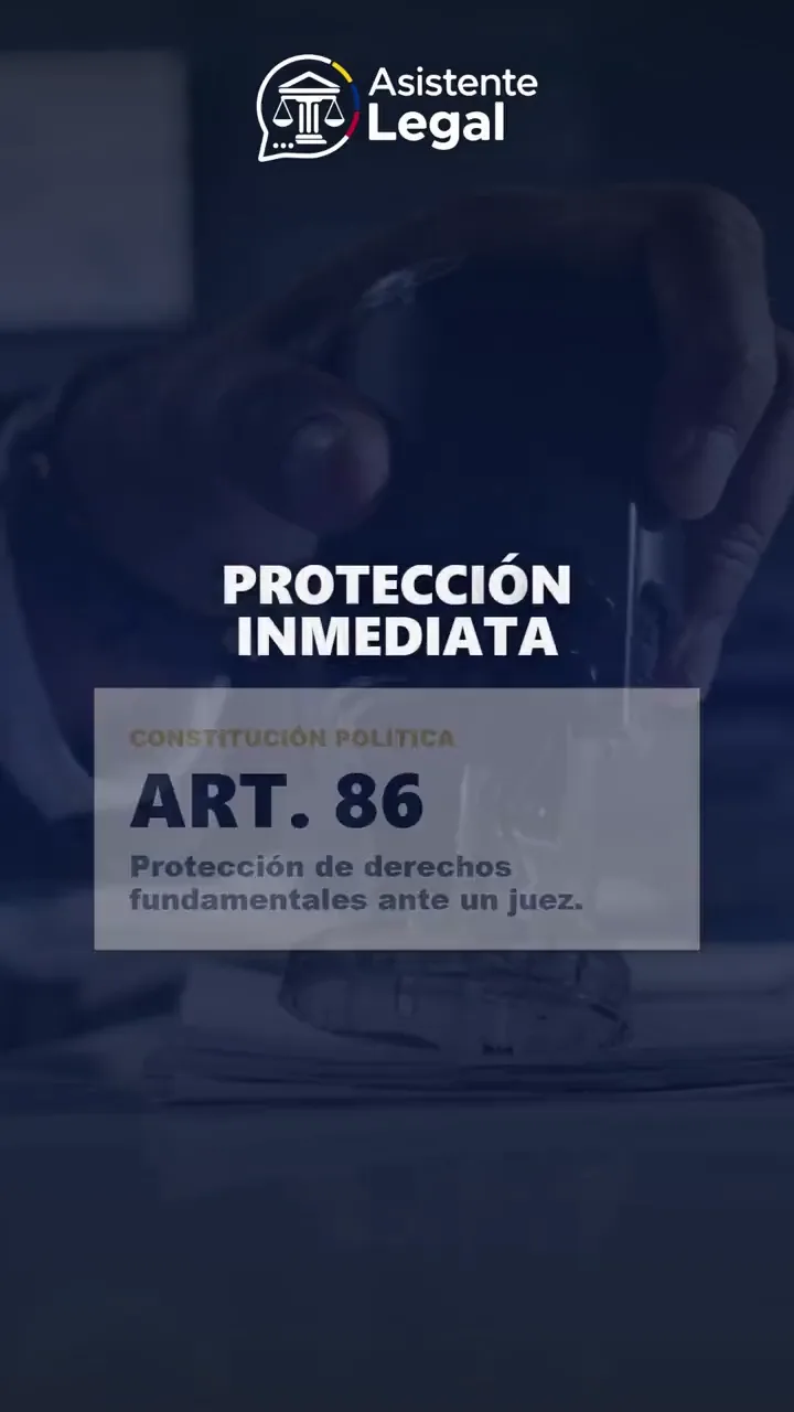 Los plazos de la tutela