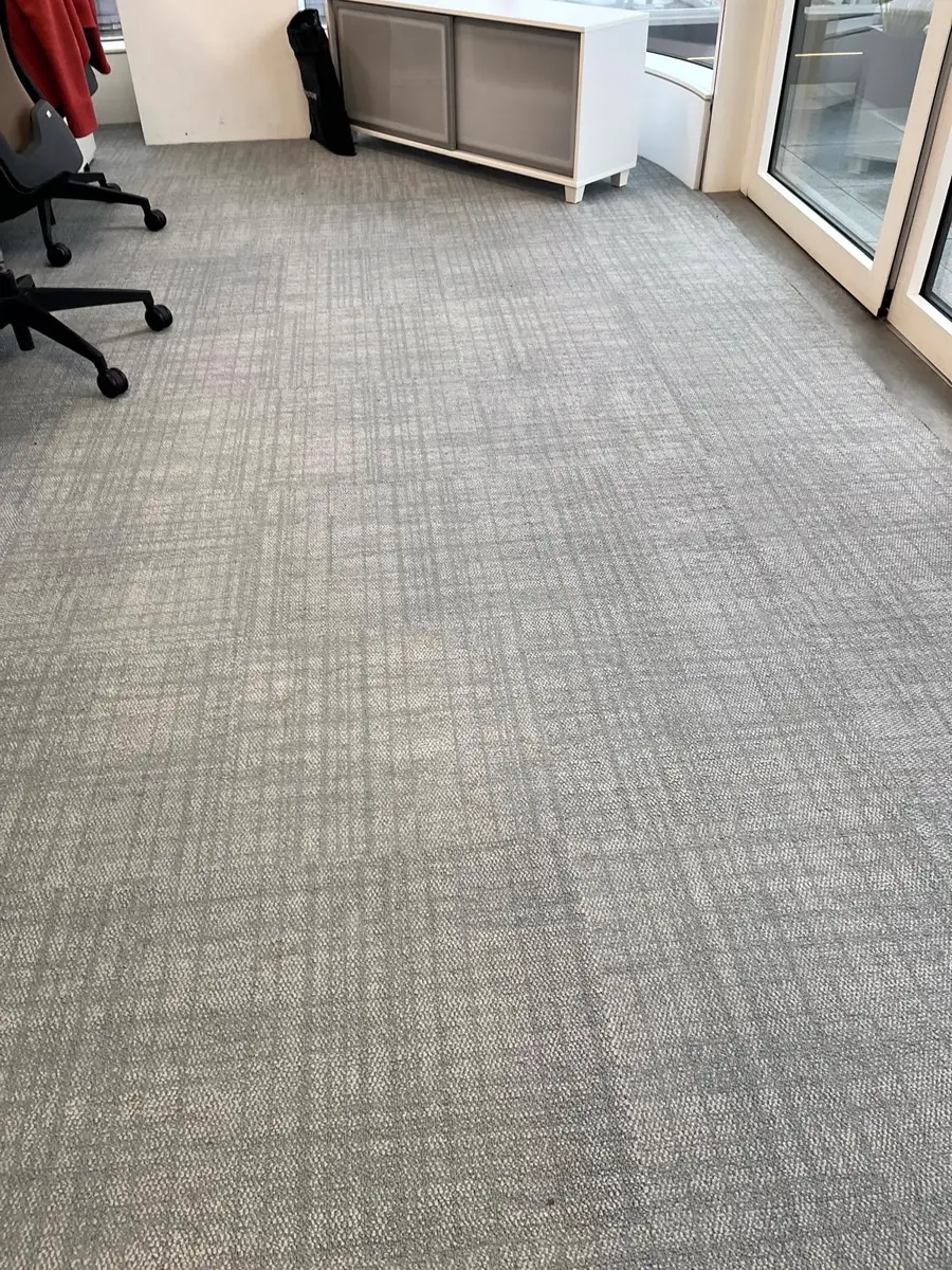 Cleaned office carpet after extraction