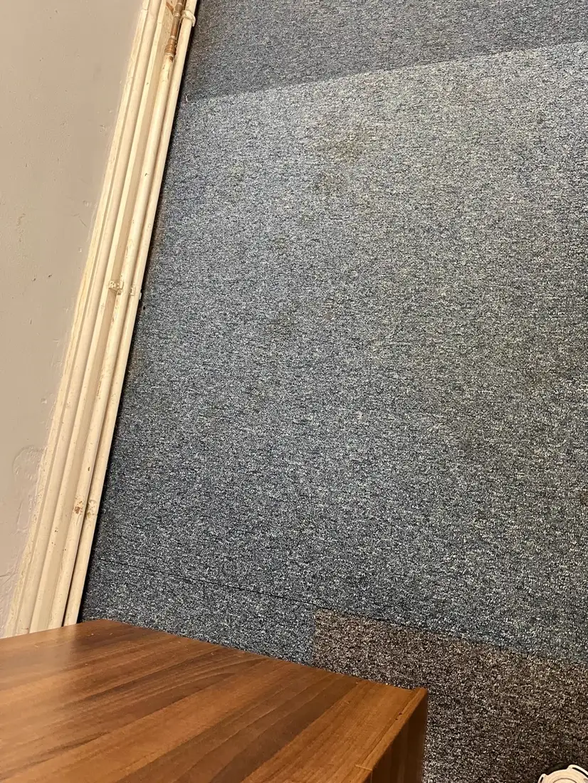 Soiled carpet in an office corner before cleaning