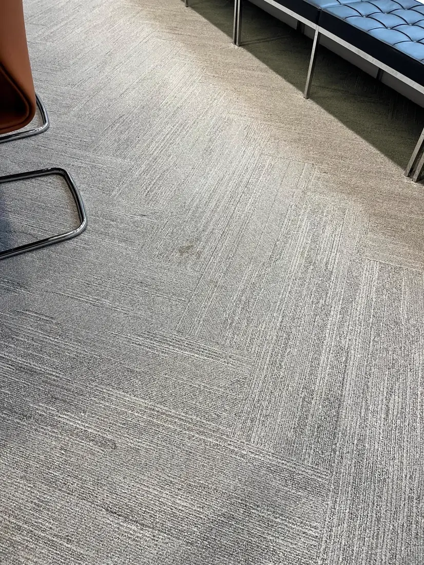Clean lounge carpet with morning light